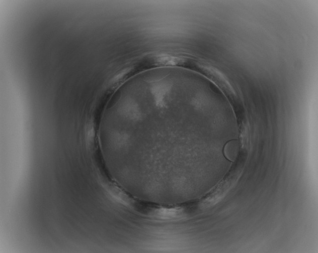 X0000111380314200907101131