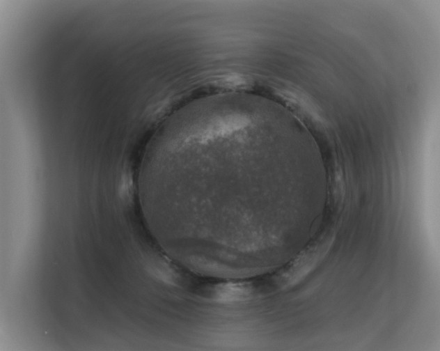X0000111380320200907101131