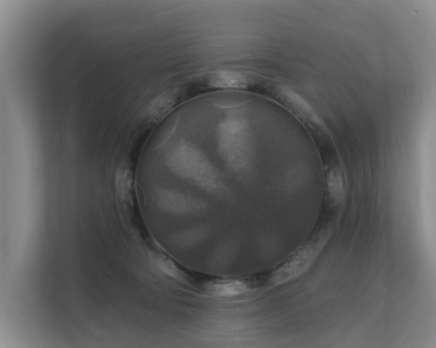 X0000111380322200907101131