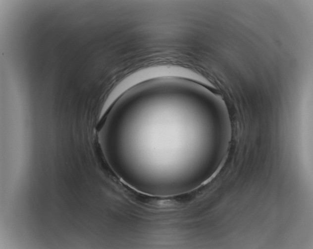 X0000111380324200907101131