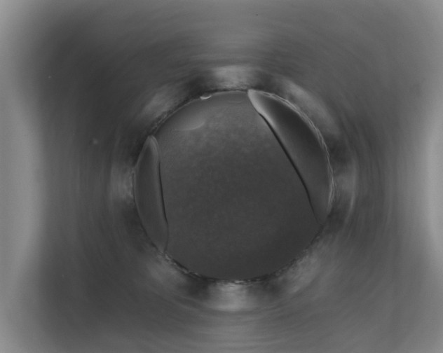 X0000111380325200907101131