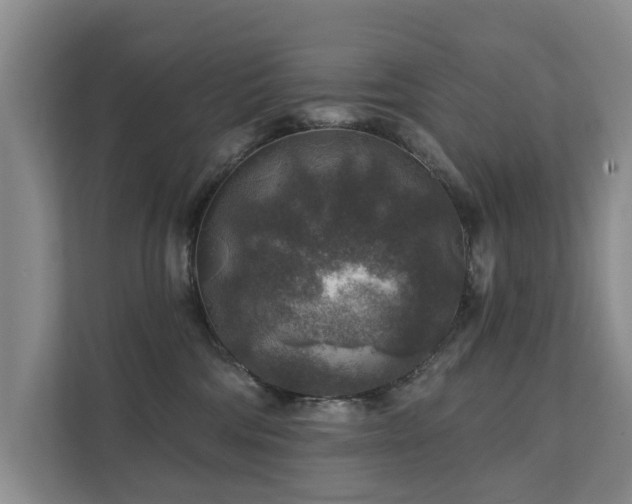 X0000111380330200907101131