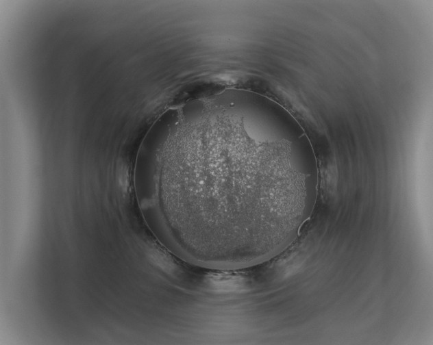 X0000111380331200907101131