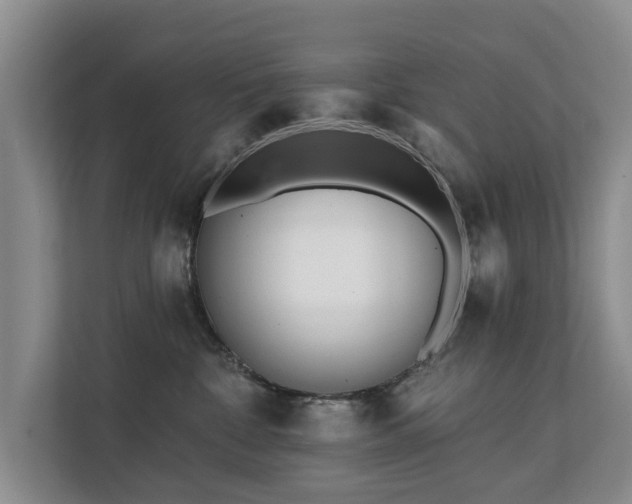X0000111380332200907101131