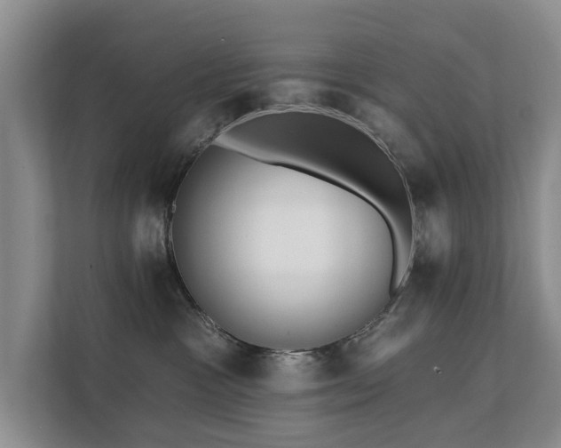 X0000111380333200907101131
