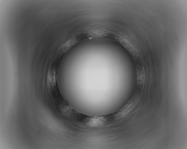 X0000111380334200907101131