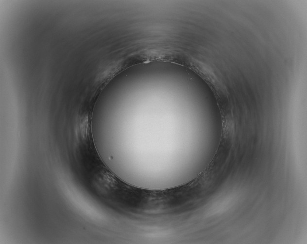 X0000111380335200907101131
