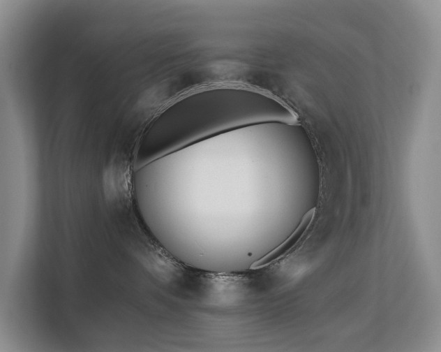 X0000111380336200907101131