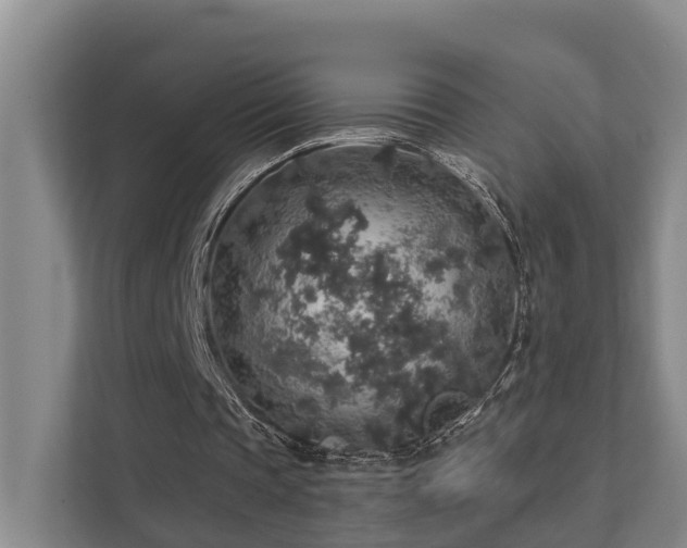 X0000111380337200907101130