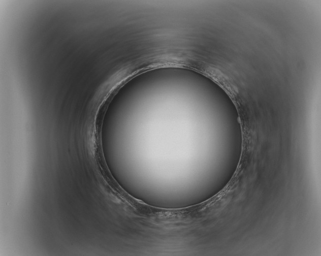 X0000111380338200907101130