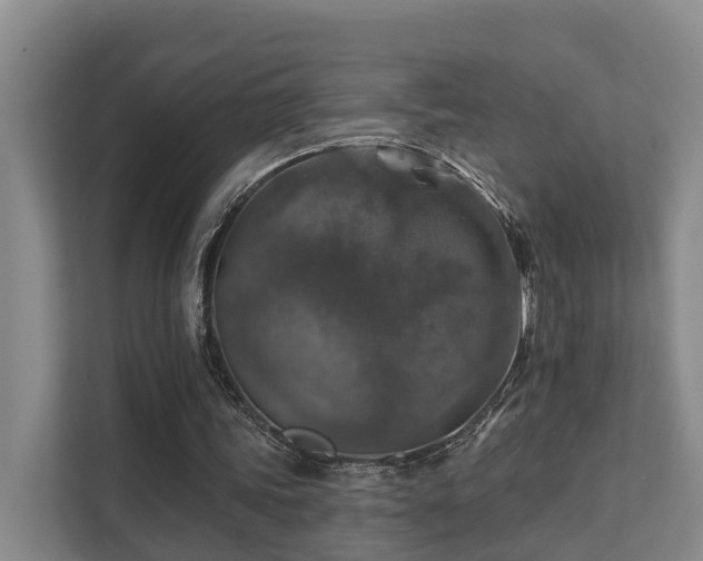 X0000111380339200907101130