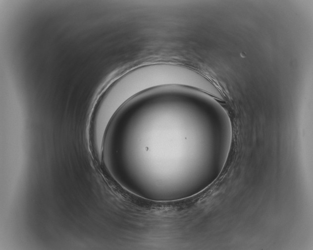X0000111380340200907101130