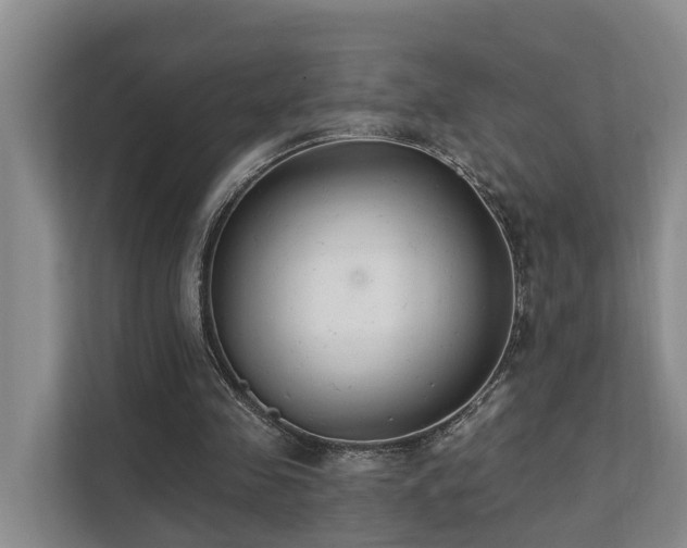 X0000111380341200907101130