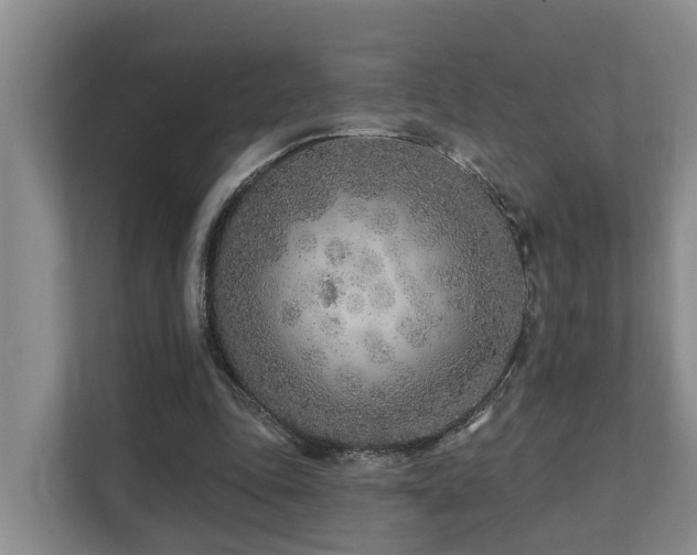 X0000111380343200907101130