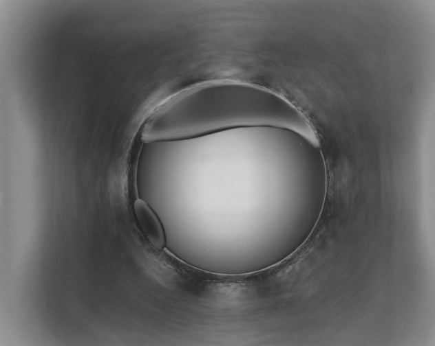 X0000111380344200907101130