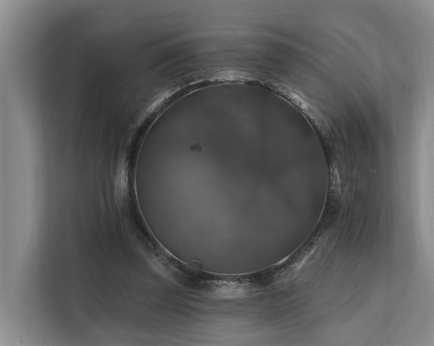 X0000111380347200907101130