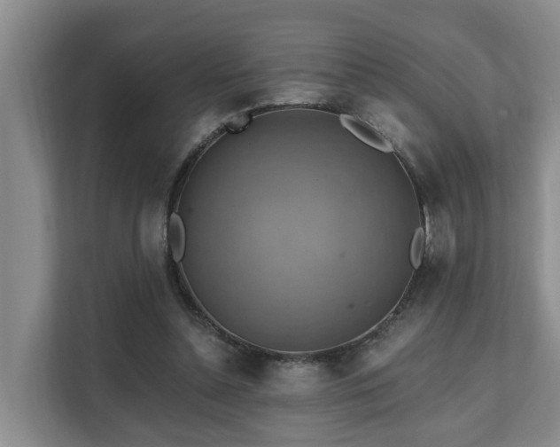 X0000111380348200907101130