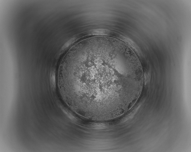 X0000111380349200907101130