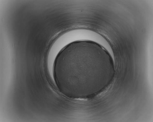 X0000111380352200907101130