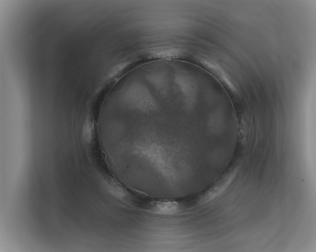 X0000111380355200907101131