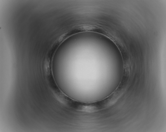 X0000111380360200907101131