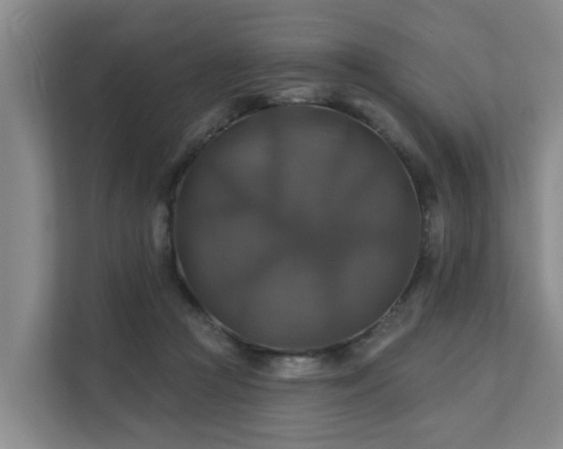 X0000111380361200907101131
