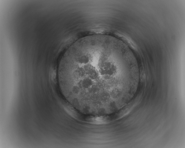 X0000111380365200907101131