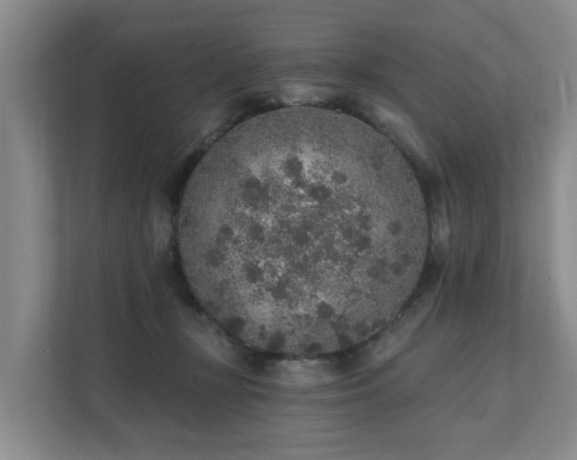 X0000111380367200907101131