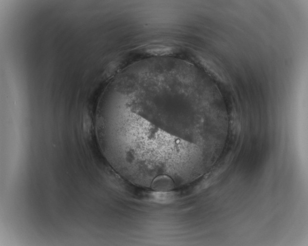 X0000111380371200907101131