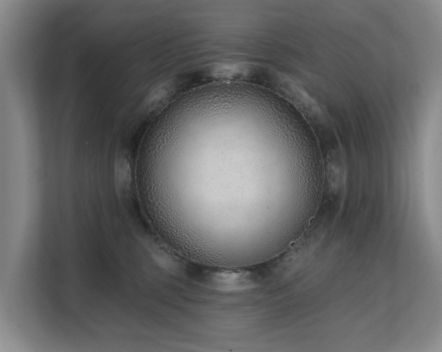 X0000111380375200907101131