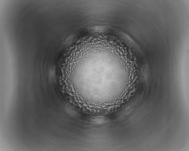 X0000111380377200907101131