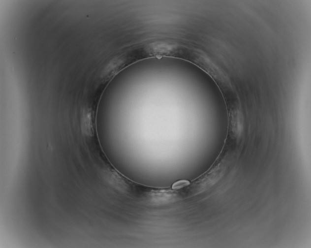 X0000111380378200907101131