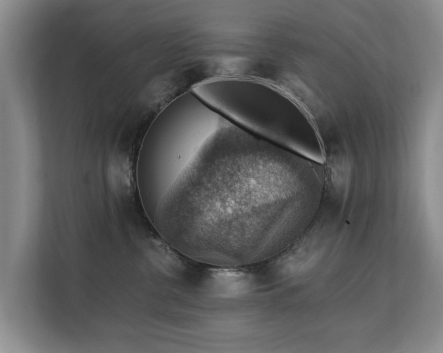 X0000111380380200907101131