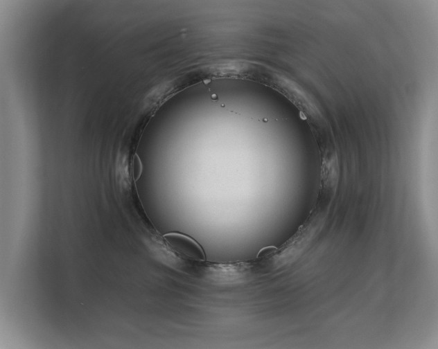X0000111380381200907101131