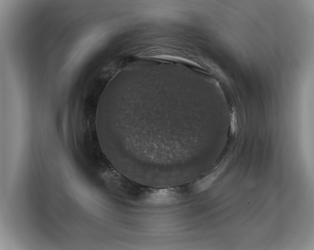 X0000111380382200907101131