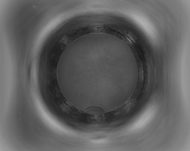 X0000111380383200907101131