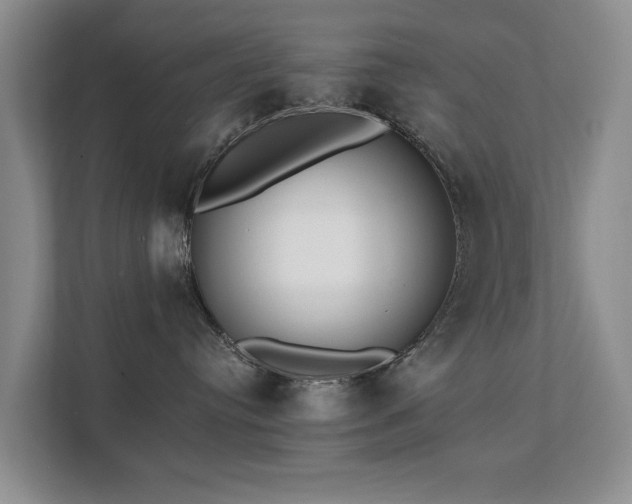 X0000111380384200907101131
