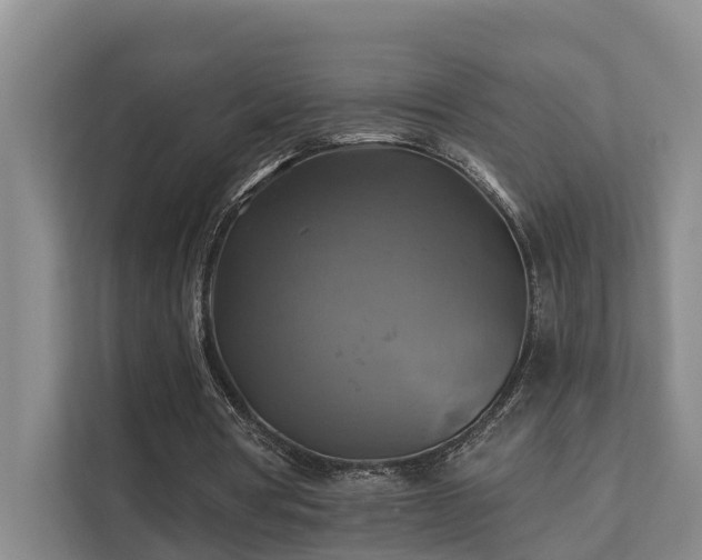 X0000111380386200907101130