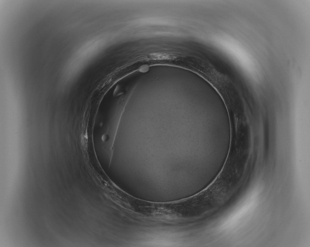 X0000111380387200907101130