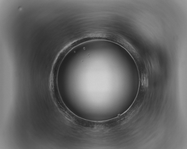 X0000111380388200907101130