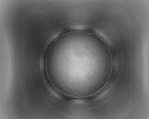 X0000111380394200907101130