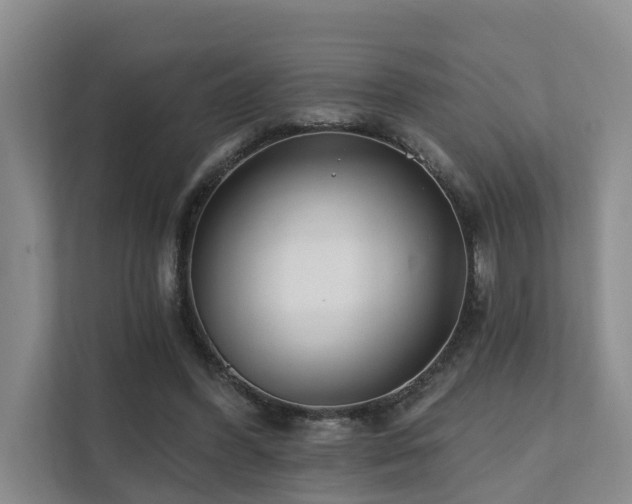 X0000111380396200907101130
