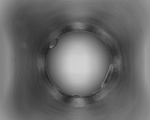 X0000111380409200907101130