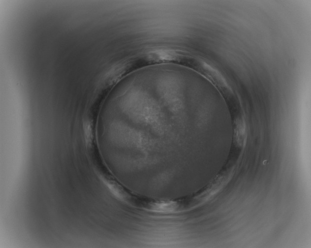 X0000111380410200907101130