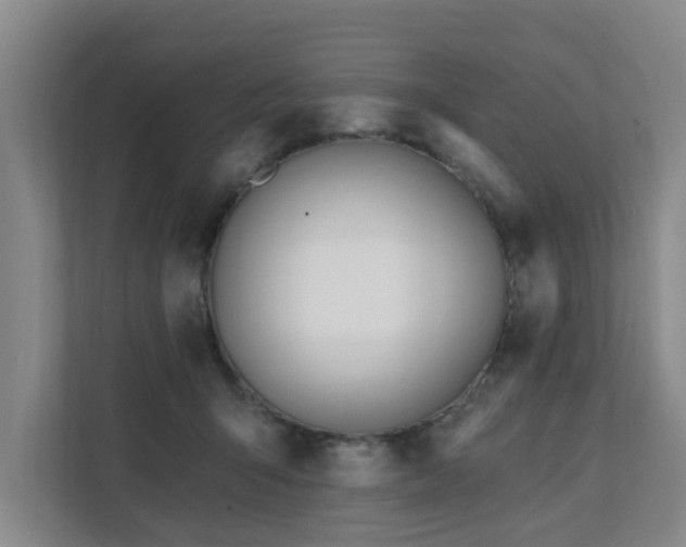 X0000111380415200907101130