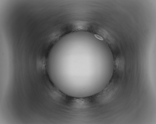X0000111380423200907101130
