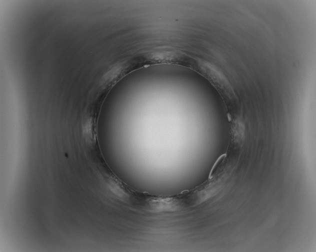 X0000111380428200907101130