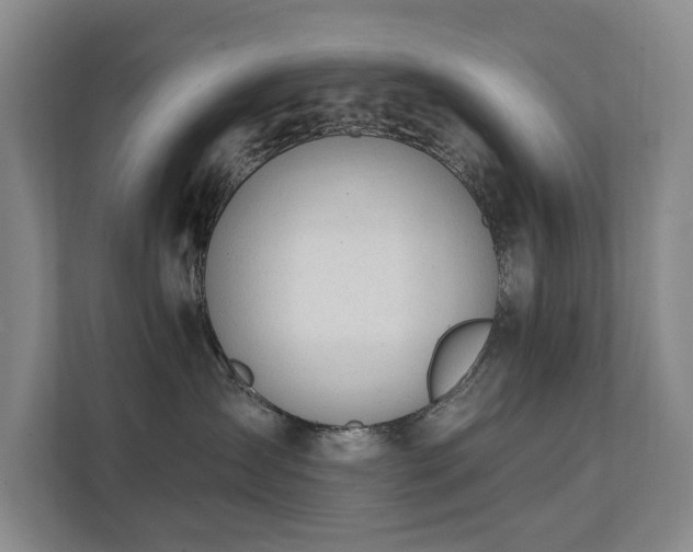 X0000111380431200907101130