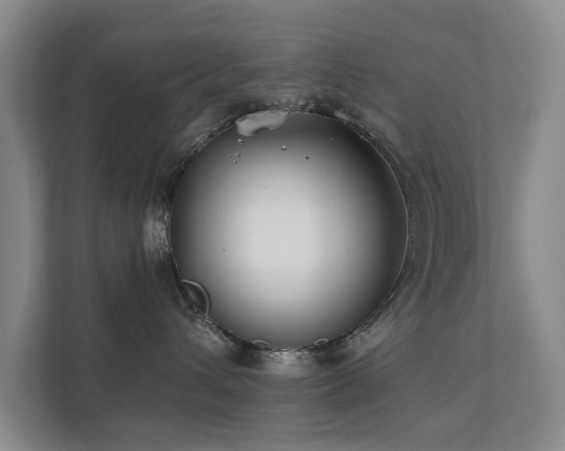 X0000111380432200907101130
