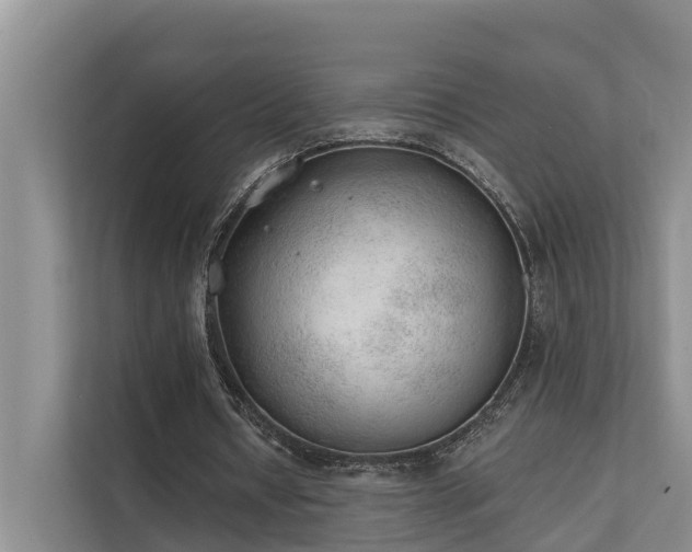 X0000111380434200907101129